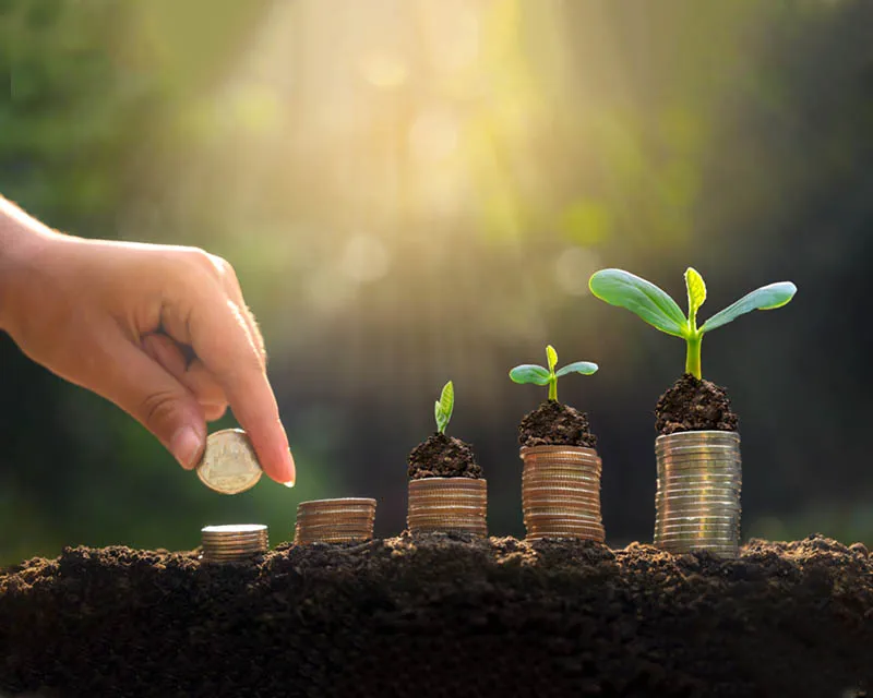 Safura International Learning Academy